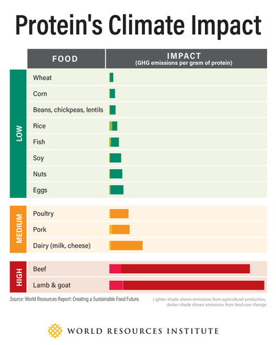 G tLvPDbQAUuRfH?format=png.png