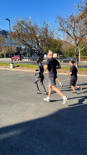 Ovqi8TAQXlU hL9D.jpg