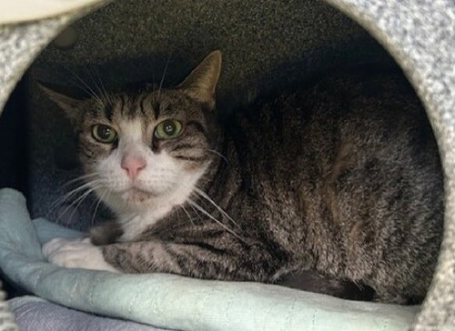 G lFw NWAAArl W?format=jpg.jpg