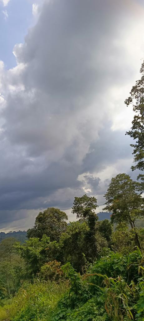 G rs8c5bQAEmm7Y?format=jpg.jpg