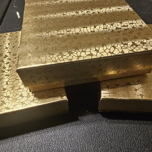 cropped 17685279096516872917534508484197.jpg