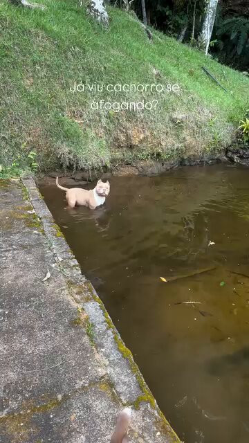 MW RMz QqWTEzxml.jpg