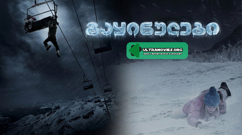 Gemini Generated Image u9ufgku9ufgku9uf.jpg