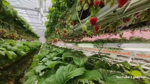 UPi6SzF2i sq8ygc.jpg