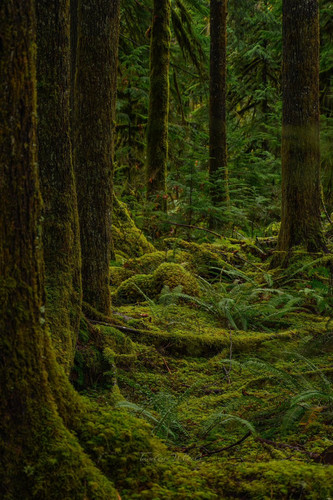 G tuO4Ea4AEYJI0?format=jpg.jpg