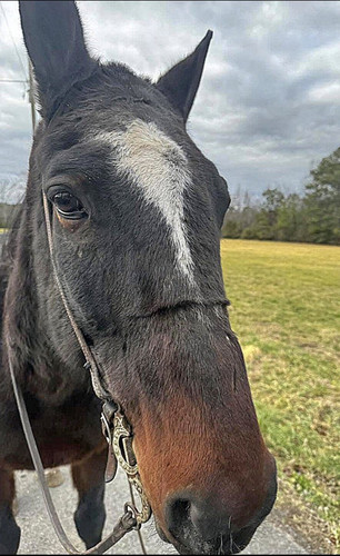 G vqlymXgAA1rGn?format=jpg.jpg