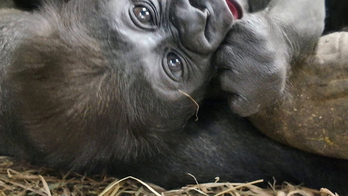 5njECaGBJUJQtgY .jpg