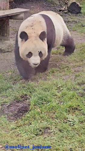 2I8BwwgdpJy MCca.jpg