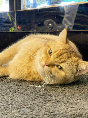 616369882 18545385406005733 7326957215297500474 n.jpg