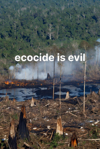 G o6cYBbQAIQNnT?format=jpg.jpg