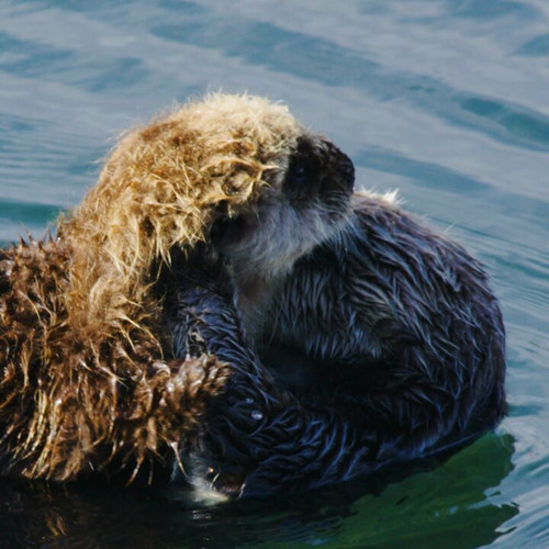 mqRutDKEjFIRi aM.jpg