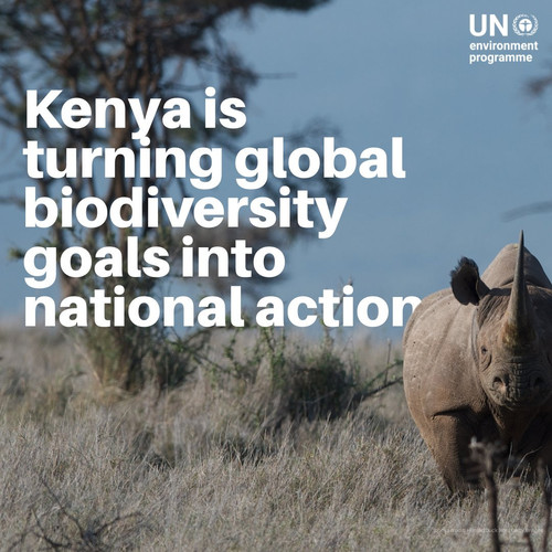 G ufynLWcAE 6Yd?format=jpg.jpg