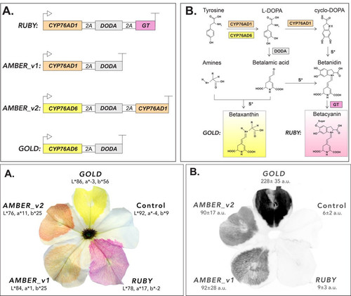 G xgKxWWkAA1Vzh?format=jpg.jpg