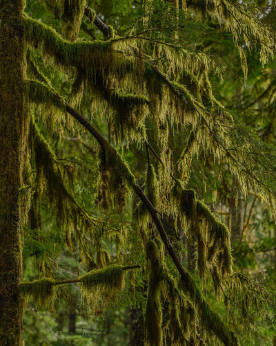 G wzfxbbQAo4pym?format=jpg.jpg