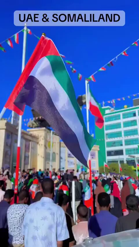 QowesX 8Z9bARL0I.jpg