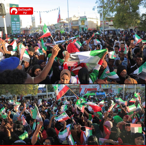 6jCzhv 8ygs0lBj2.jpg