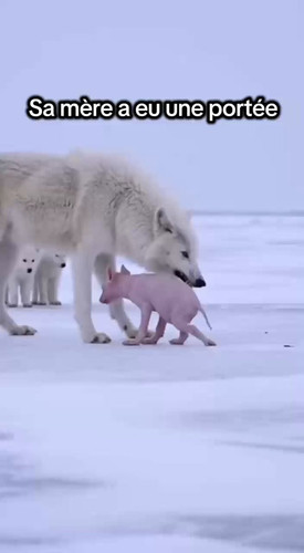 ZJPhUimSuzVyG 8Q.jpg