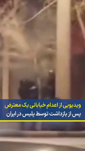 Z8pBR ZioPLjXTwm.jpg