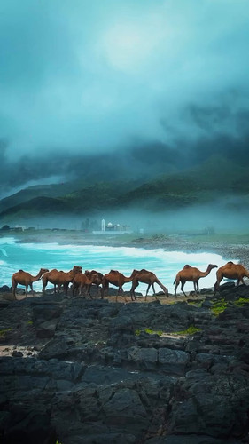 ctkz GyvG8xVWA v.jpg