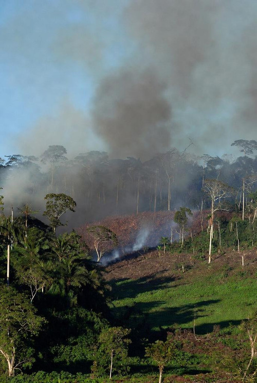 G o7SRjaMAAAozM?format=jpg.jpg