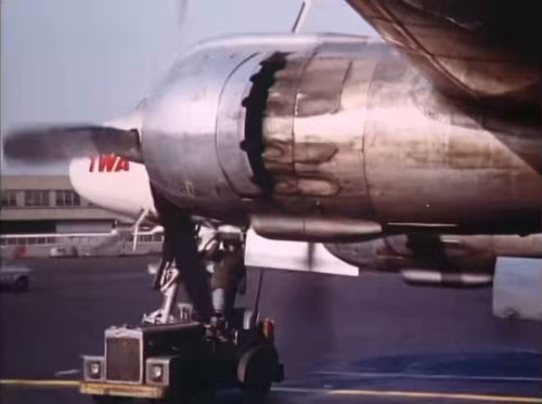 qooVV3Q5Rz1OpdI .jpg