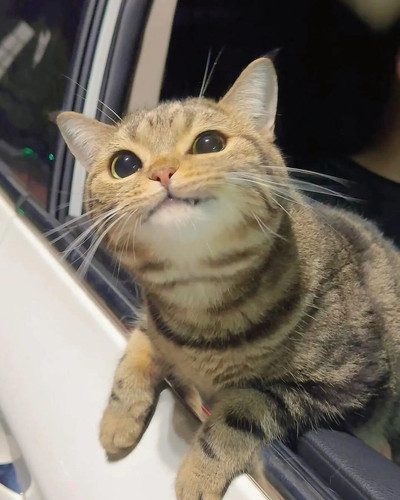 =?utf 8?B?L2hvbWUvY2hpY2hhcmQv0JjQt9C+0LHRgNCw0LbQtdC90LjRjy9TYXZlZCBQaWN0dXJlcy9GaUo0ZGpZOTNlWVh3Rj.jpg