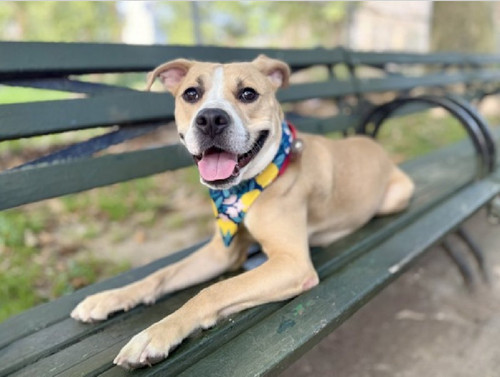 G92h rcbUAAlrWY?format=jpg.jpg