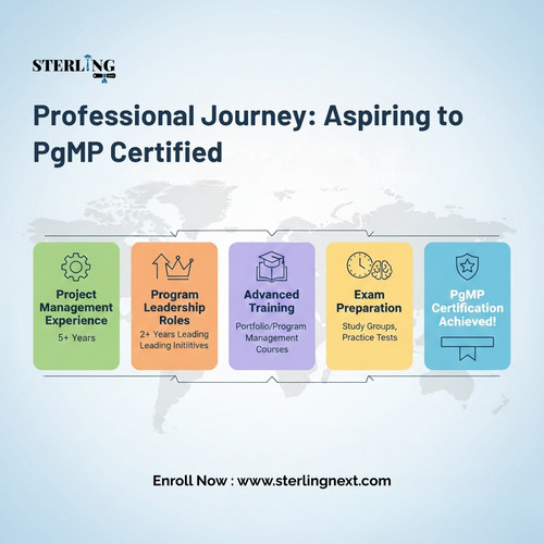 Professional Journey Aspiring to PgMP Certified.jpg