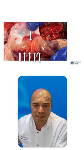 MAtRNdgGofeShGqX.jpg
