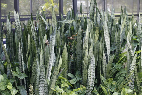 71BRlglW1YL. SL1024 .jpg