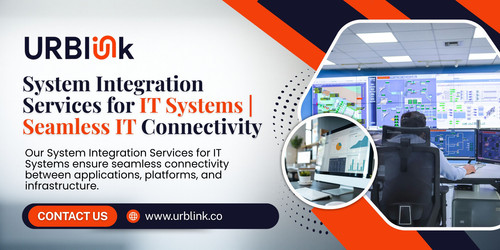 System Integration Services (2).jpg