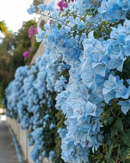 71kuF6R5xdL. SY879 .jpg