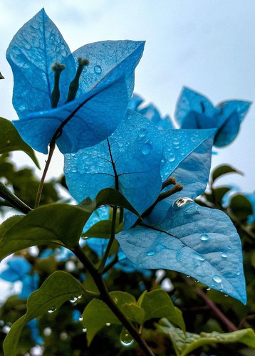 71POtnFy7sL. SL1472 .jpg