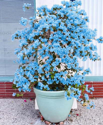 711 JqqY5SL. SL1024 .jpg