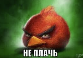 chrome o685LJPnkS.png