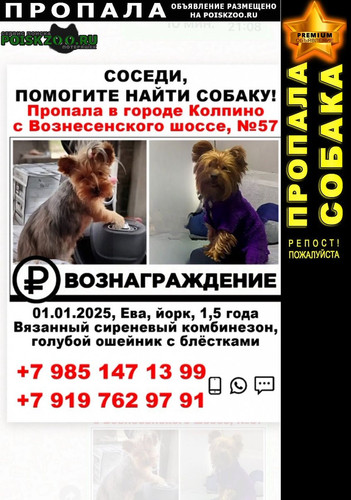 G oS o XcAA ZXm?format=jpg.jpg