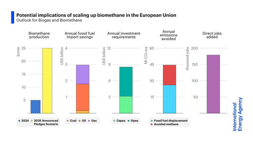 G tdhhcWMAAXuxi?format=jpg.jpg