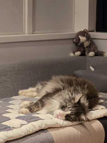 G vhIlfWEAA4er7?format=jpg.jpg