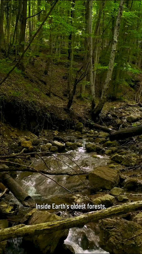 StDe5vgqWgBlunU .jpg