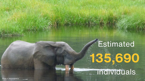 G sR16MW4AAYurE?format=jpg.jpg