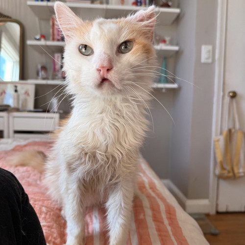 G v1adcXQAAEiYO?format=jpg.jpg