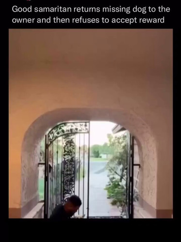 8KuEQfn1PSh0RY2 .jpg