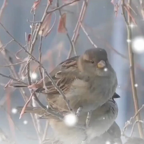 d wLmJ0 0azCvoEs.jpg