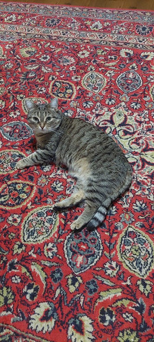 G wY4R9aUAAwu7d?format=jpg.jpg