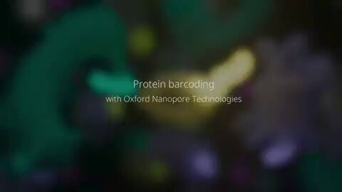 xuhXuLKKC PNvMRk.jpg