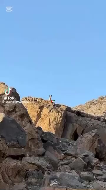 3cMmj 4JD52pVIWc.jpg