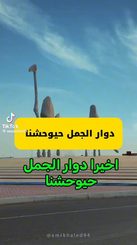 a2yadkcLLtF f1Q5.jpg