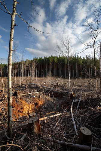 G w4icTWYAA0i6G?format=jpg.jpg