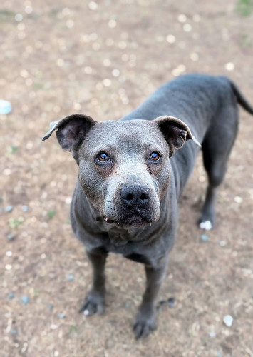 G s o3laUAAfQmE?format=jpg.jpg