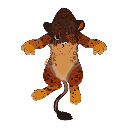 IMG 3476.png